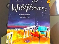 The golden age of The Wildflowers